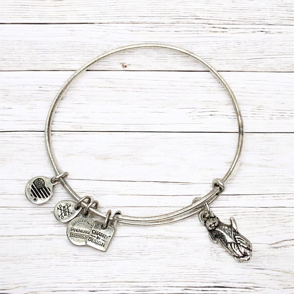 Alex and Ani Otter Charm Bracelet Silver Finish - Expands 2"- 3.5"
